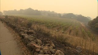 Northern California wildfires endangering region's most famous export: Wine