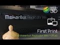 Makerbot Replicator Mini + (Plus) First Print | Dream 3D