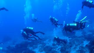 潛水日誌 P3060001 綠島船潛