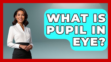What Is Pupil In Eye? - Optometry Knowledge Base