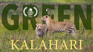 GREEN KALAHARI - A Kgalagadi Transfrontier National Park short film | January 2021