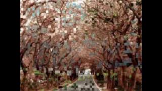 Louca Paixão - Roupa Nova