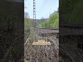 [VIAS.RB91] Hagen Hbf. ➡️ Siegen Hbf. (Ruhr-Sieg-Bahn) ● Kurz vor Lennestadt-Altenhundem👍
