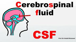 CSF (part 2) Interpretation of cell count