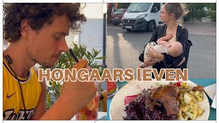 Dagelijkse Chaos in Hongarije 🤯 I Zo ziet ons leven er écht uit! #19