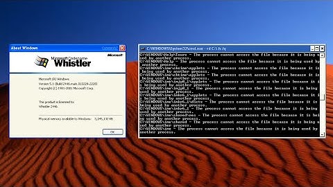 Destroying Windows Whistler Build 2446!