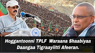 Download Lagu Hoggantoonni TPLF Walgayii dhoksee taa'een Waraana Shaabiyaa Tigraayitti Afeere// Daballiin mindaa MP3