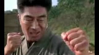 Jet Li Vs Yasuaki Kurata.