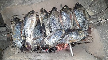 Xem anh Cảnh Rừng làm món cá rô nướng than hoa cực chất.