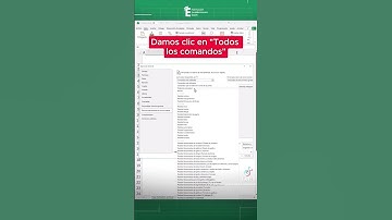 haz un formulario rápido en Excel