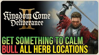 Get Something To Calm The Bull Kingdom Come Deliverance 2