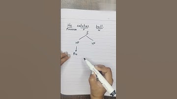 Syntax Trees in Linguistics #syntax #trees #linguistics #youtube #ytshorts #youtubeshorts