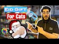 5 musthave products for your cats eid 2024 celebration best for cat owners