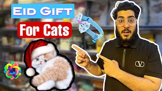 5 Must-Have Products for Your Cat’s Eid 2024 Celebration. Best for Cat owners by Chubby Meows 2,420 views 3 weeks ago 4 minutes, 52 seconds