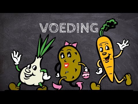 Video: Verschil Tussen Dieet En Voeding