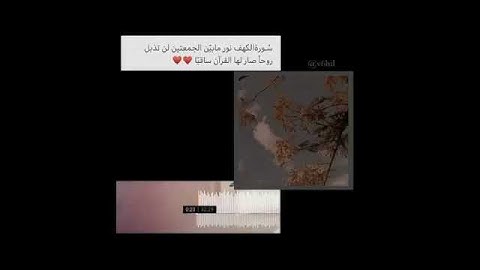 سورة الكهف نور مابين الجمعتين#حالات واتس تيك توك☺
