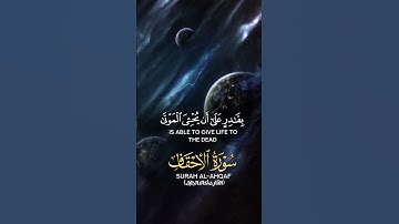 سورة الاحقاف ..ثلاوة خاشعة #ليلة_القدر #الرحمن #المصحف #تقبل_الله_منا_ومنكم_صالح_الاعمال #اكسبلور