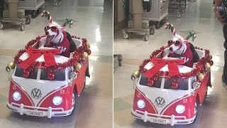 Therapy Dog Wearing Christmas Costume Delivers Smiles In Motorized Volkswagen