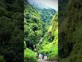Gosaikunda Trek #rasuwa #nature #green #freshair #travel #explore #sochneaankha #seeexploreshare