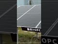Jinko solar panels for system #energy #solar #system