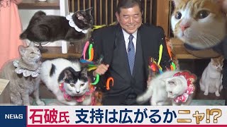 「ポスト安倍」NO.1、石破茂氏がネコに“公約”発表・・・支持は広がるかニャ!?