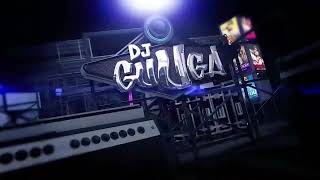 30 Minutos de DJ Guuga  Especial 2024