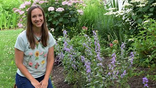 Planting Angelface® Steel Blue Angelonia with my good buddy Harry  Northlawn Flower Farms