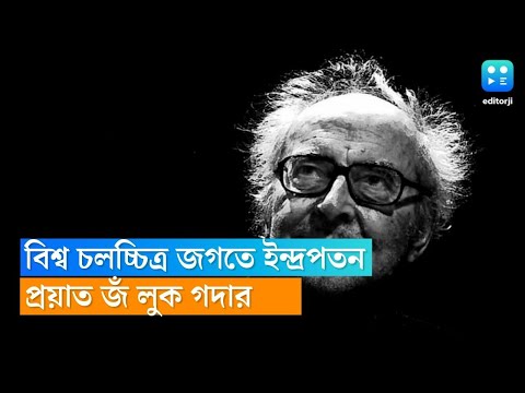 ভিডিও: পরিচালক ব্রায়ান ডি পালমা: ফিল্মগ্রাফি। 