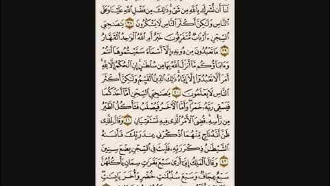 تلاوة الشيخ نور الدين المسلاتي / سورة يوسف☘️#اكسبلور #لايك# ليبيا