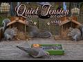 Quiet Tension at the Platform 🐿️🕊️ | Three Squirrels, One Nervous Dove | Unedited 1 Hr | PetTV ASMR