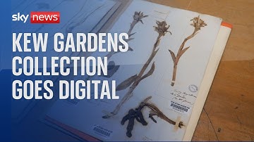 Historic Kew Gardens collection goes digital