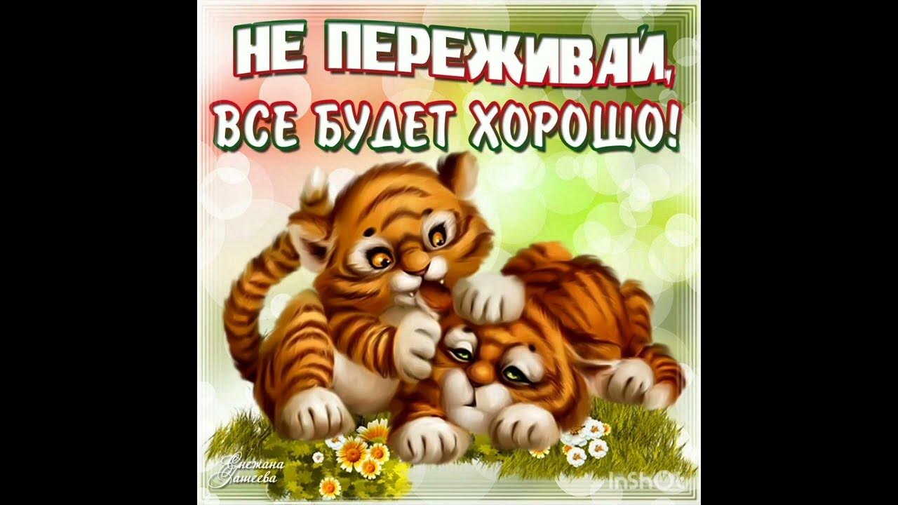 не переживай картинки. не переживай полматери. не переживай прикол. не переживай полматери. не переживай полматери.