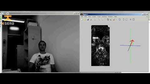 KSERA Project - Head Pose Estimation