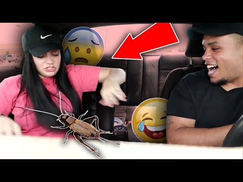 i-threw-a-cricket-on-my-girlfriend!-*prank*