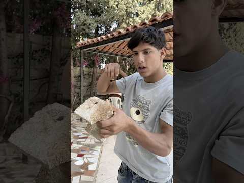 احمد فزع فزعة غبية