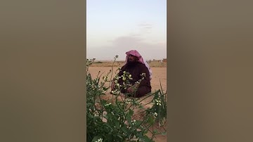 دحيم الحماد ١٤٤١هـ تلاوة في وادي الدواسر