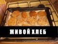 Живой Хлеб из пророщенной пшеницы. Самый полезный хлеб