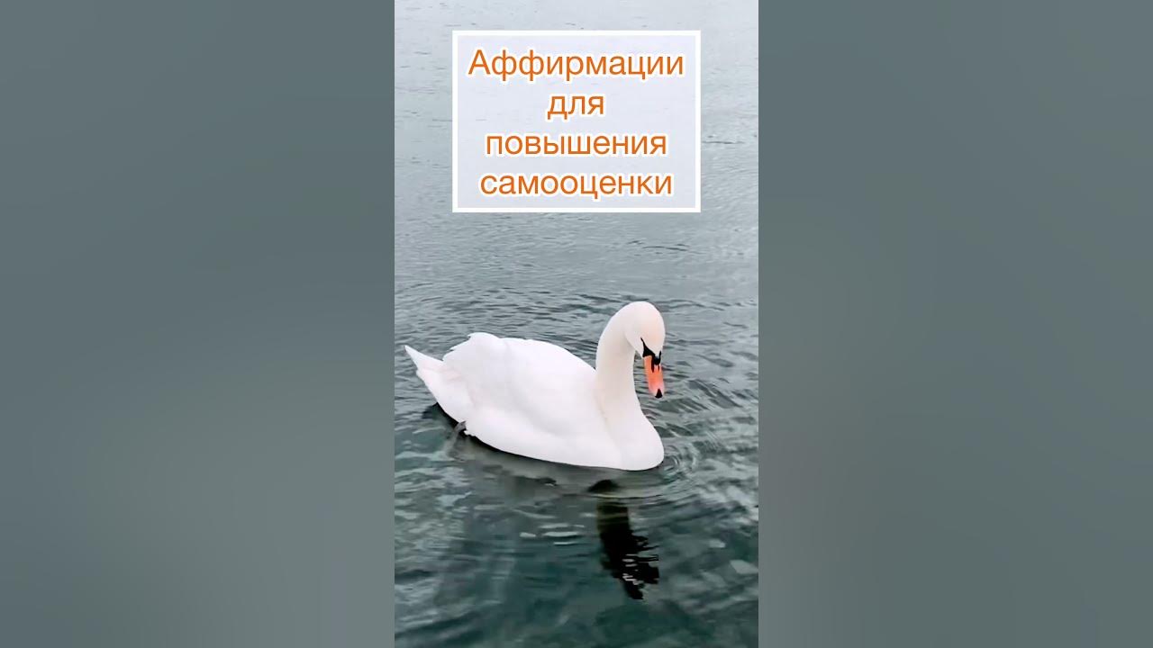 АФФИРМАЦИИ ДЛЯ ПОДНЯТИЯ САМООЦЕНКИ( женский вариант) АФФИРМАЦИИ ДЛЯ ПОДНЯТИЯ САМООЦЕНКИ( женский вариант)