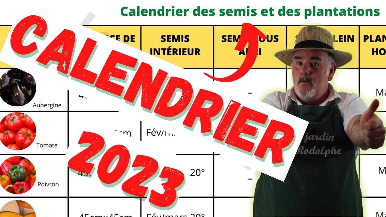 Le calendrier des semis et des plantations des légumes au potager 2023. 