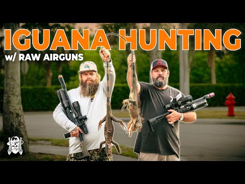 Hunting Down Florida's Most DANGEROUS Invasive Iguanas