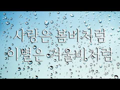 사랑은 봄비처럼 이별은 겨울비처럼 - 임현정