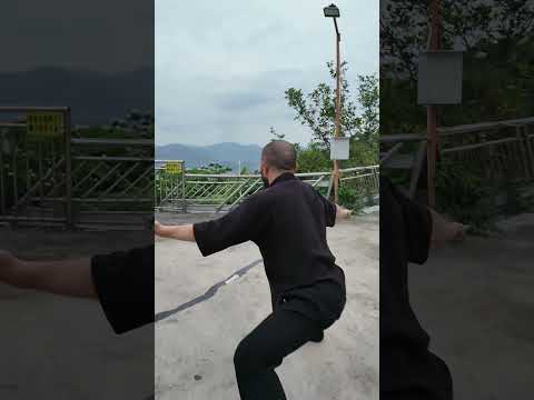 Southern Shaolin One-Finger