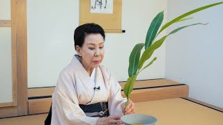 Yamada Midori Ikebana Ikenobo Demonstration (full, japanese)