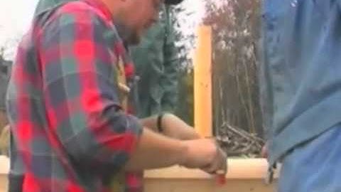 Timbering | Logosol M7 | LOGOSOL