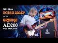 Nic Blom of Ocean Alley | The updated Orange AD200 & OBC810