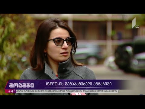 ISFED-ის შემაჯამებელი ანგარიში - ელენე ნიჟარაძის განცხადება