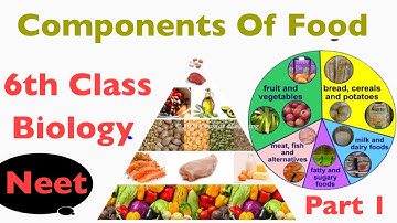 Nutrients - Components of Food Class 6 Science Concept Explained | part 1