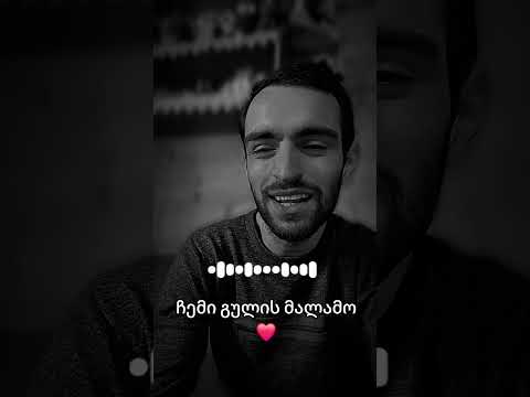 ჩემი გულის მალამო ავტორი ზაზა კაკალაძე