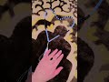 کائنات تک ماہ تاباں رحمت اللعالمین صلی اللہ علیہ وسلم Ramzan2024 Urdupoetry Deraghazikhan کائنات تک ماہ تاباں رحمت اللعالمین صلی اللہ علیہ وسلم Ramzan2024 Urdupoetry Deraghazikhan