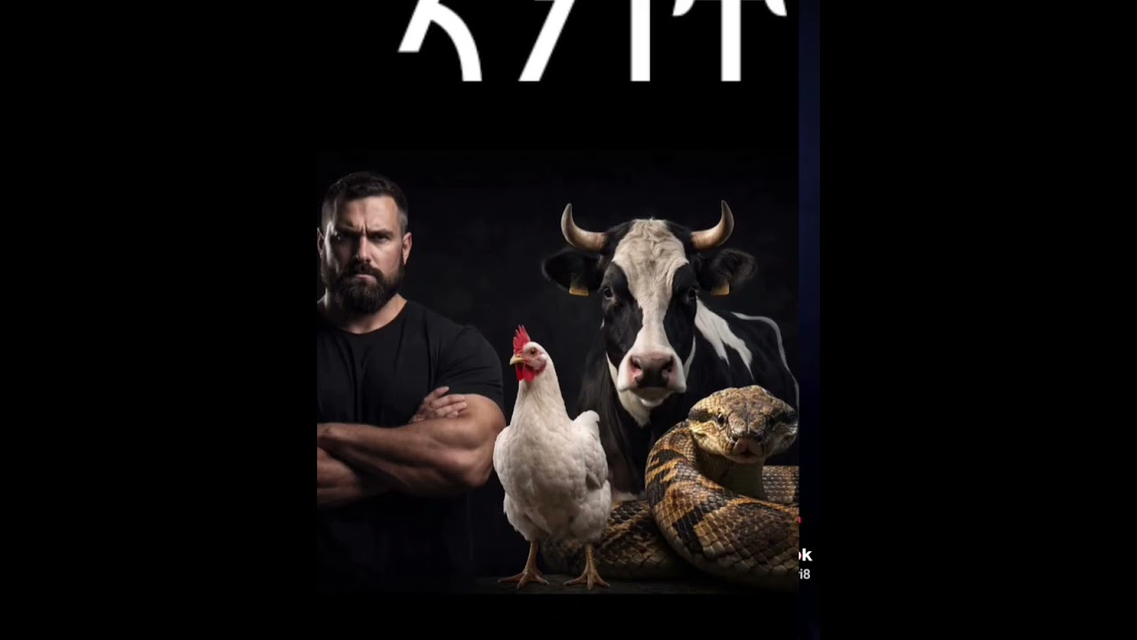 ትዕብት ኣንነትን ለከምቲ ሕብረተሰብ!